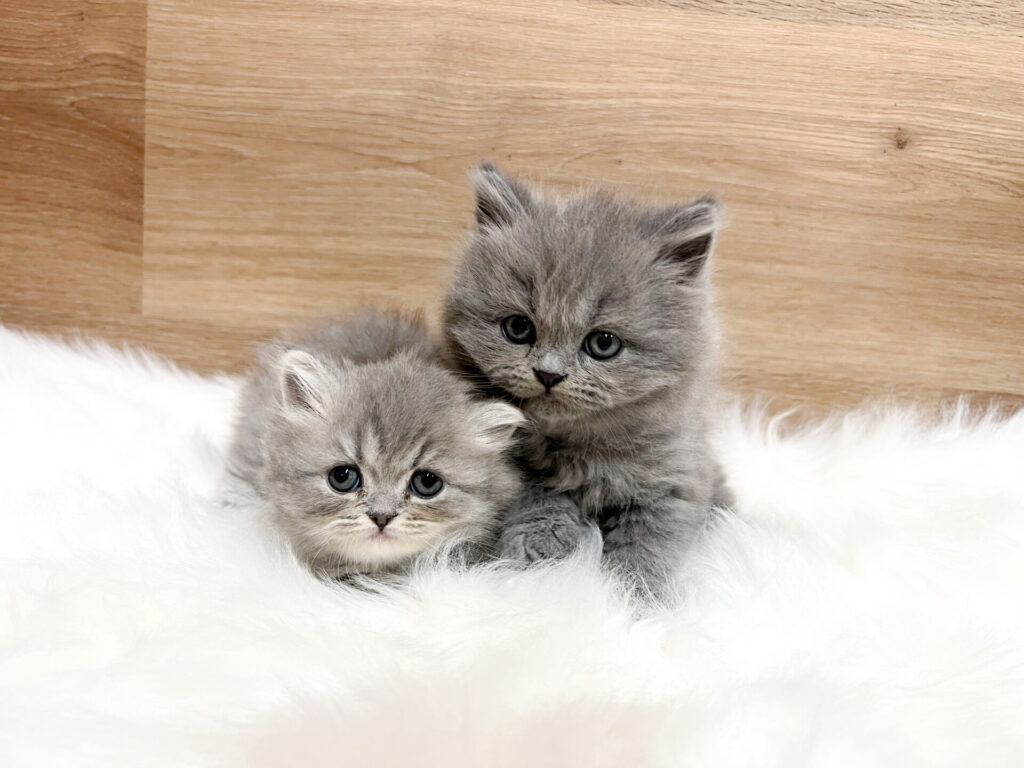 2026年3月20日撮影