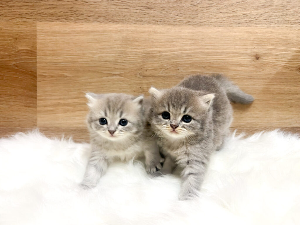 2026年4月5日撮影