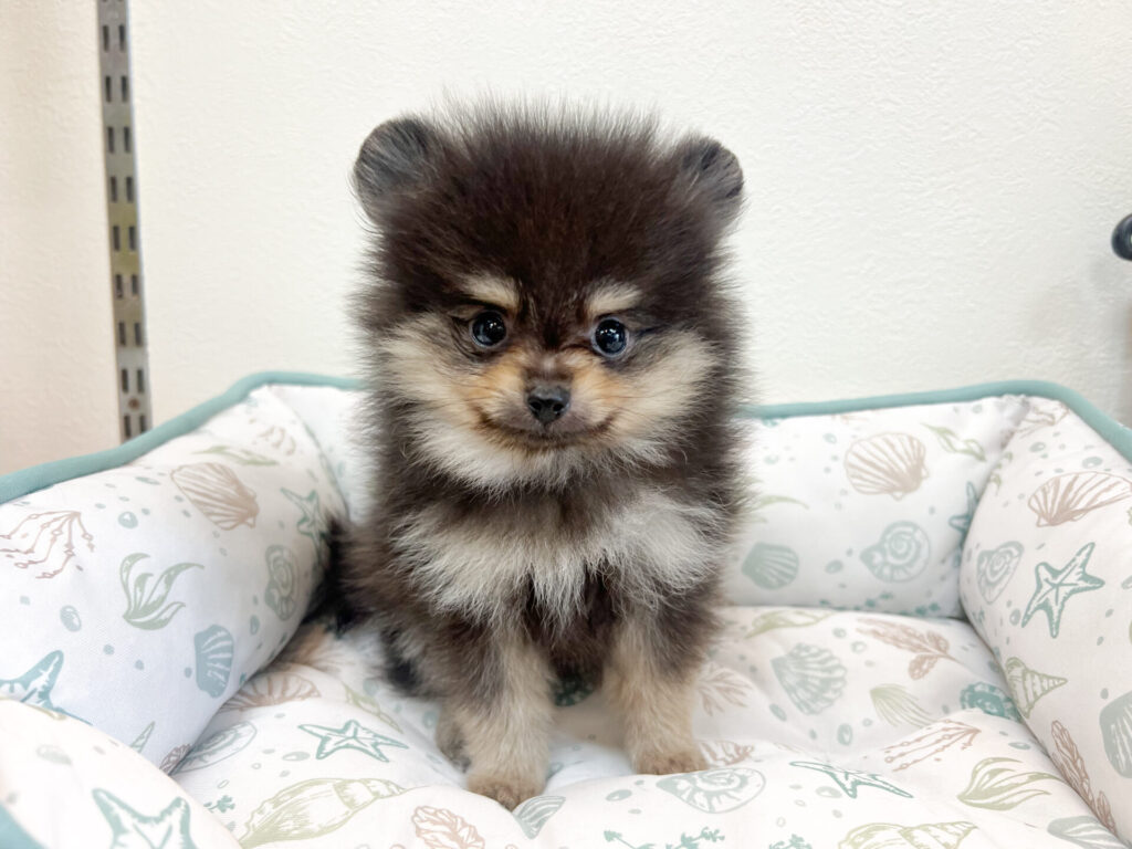 2025年10月1日撮影