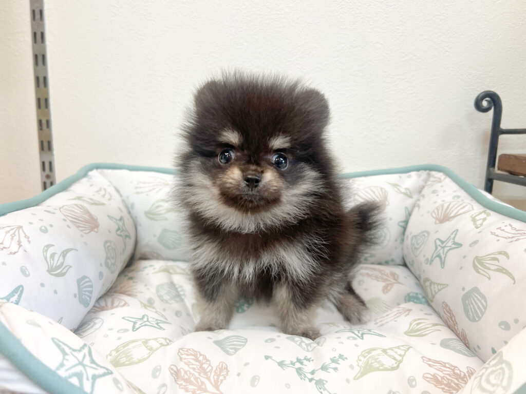 2025年10月1日撮影