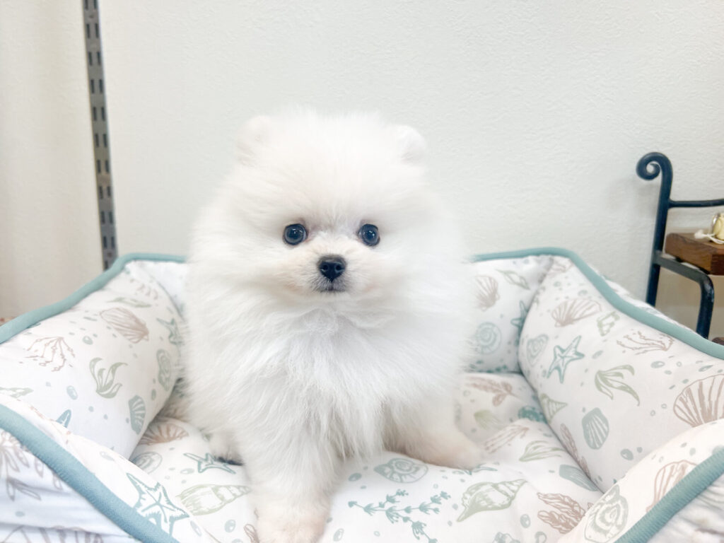 2025年10月3日撮影