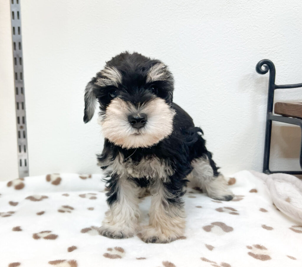 2026年4月17日撮影