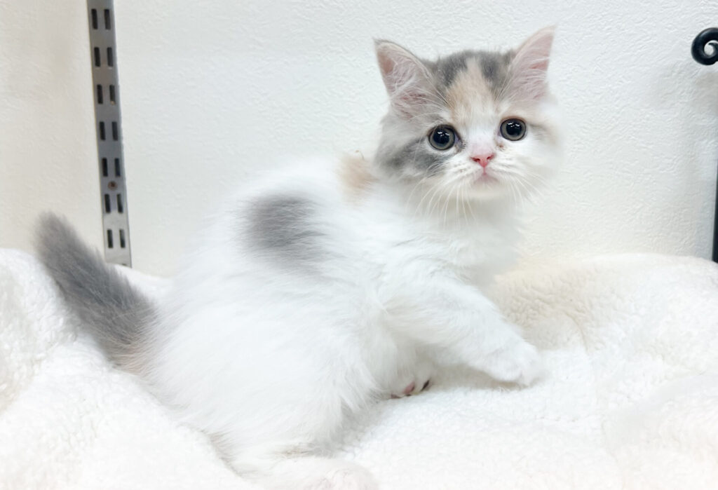 2026年4月22日撮影