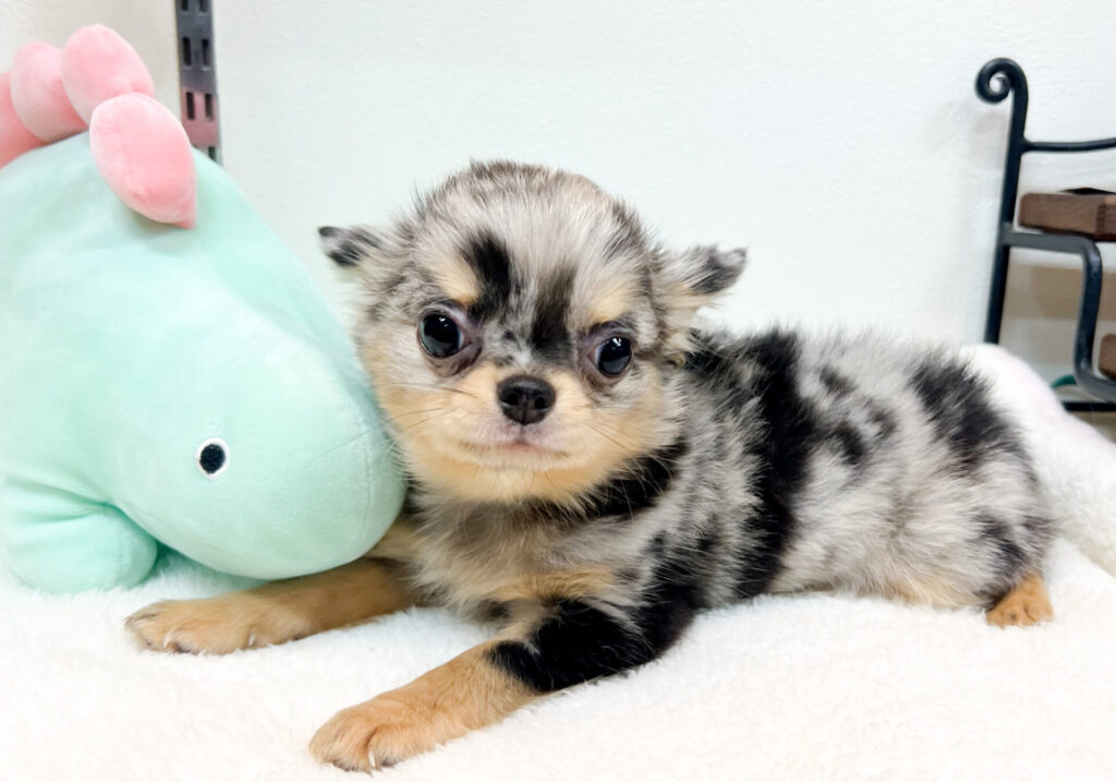 2026年4月24日撮影