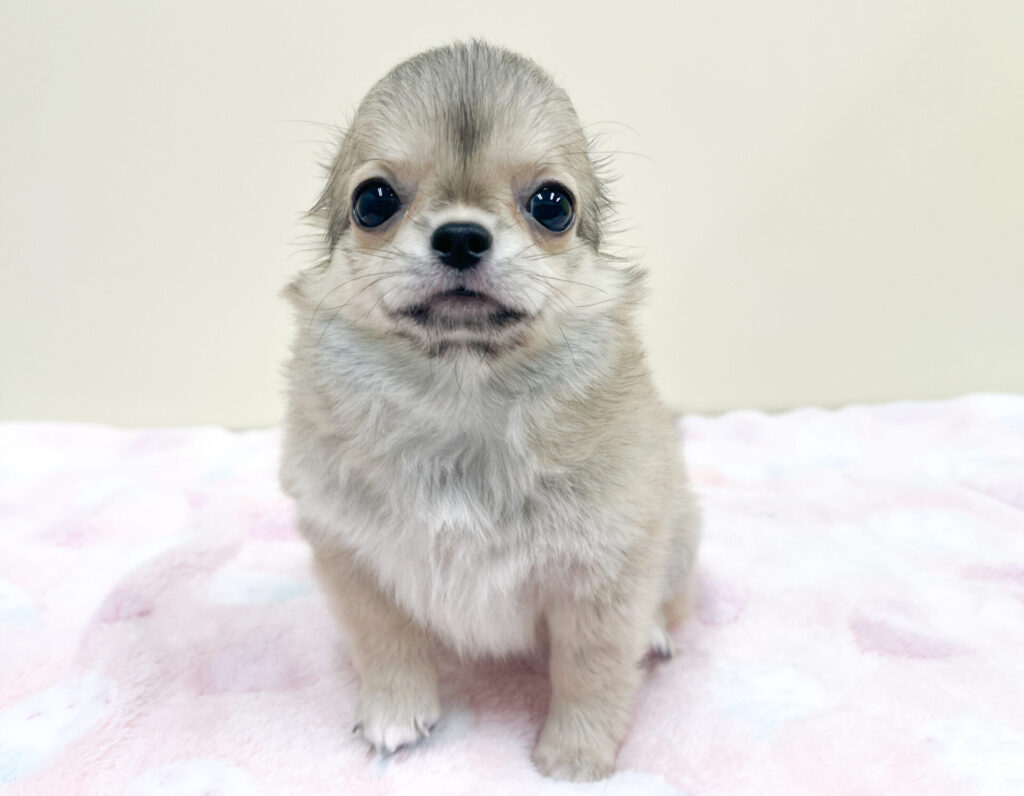 2026年4月25日撮影