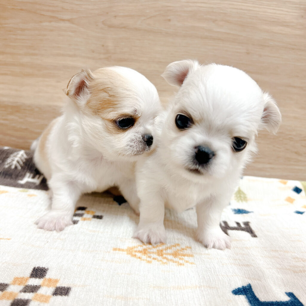 すくすく育ってます!