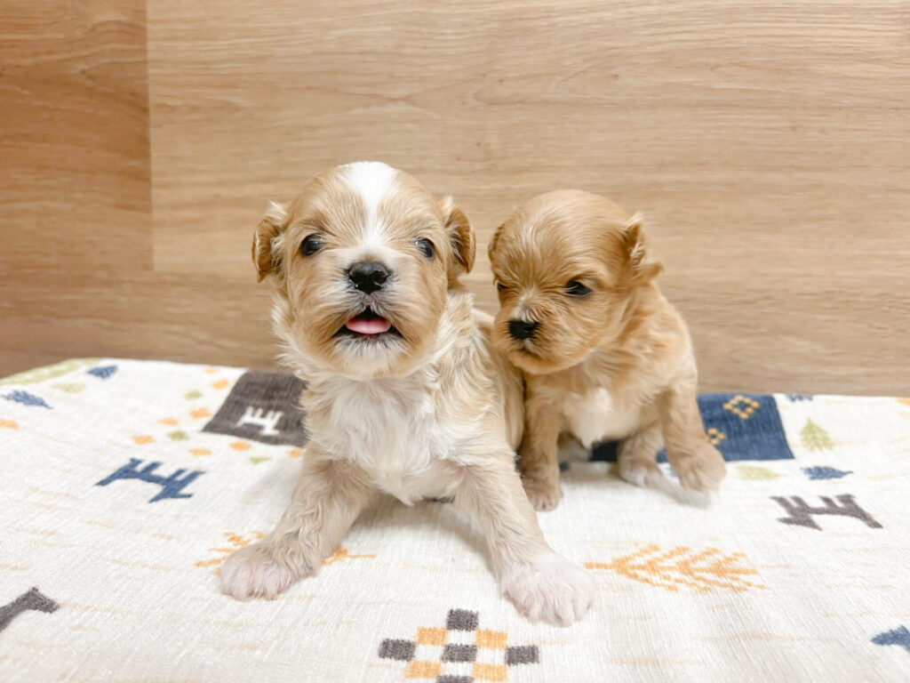 すくすく育ってます!