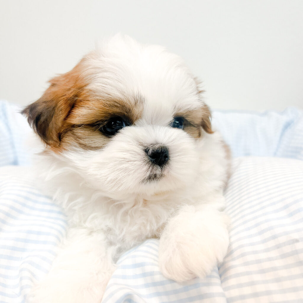 マイペースな女の子♡ʾʾ