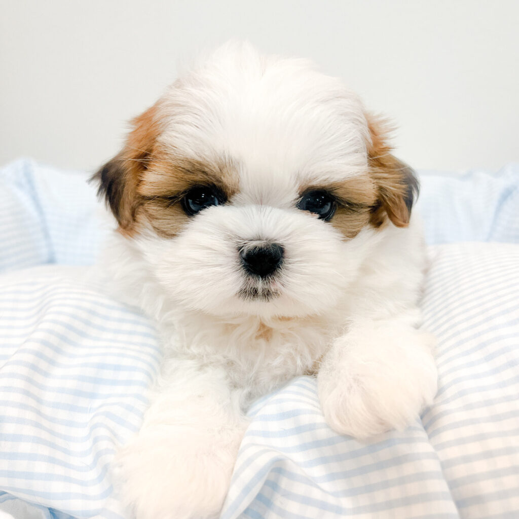 2025年10月20日撮影