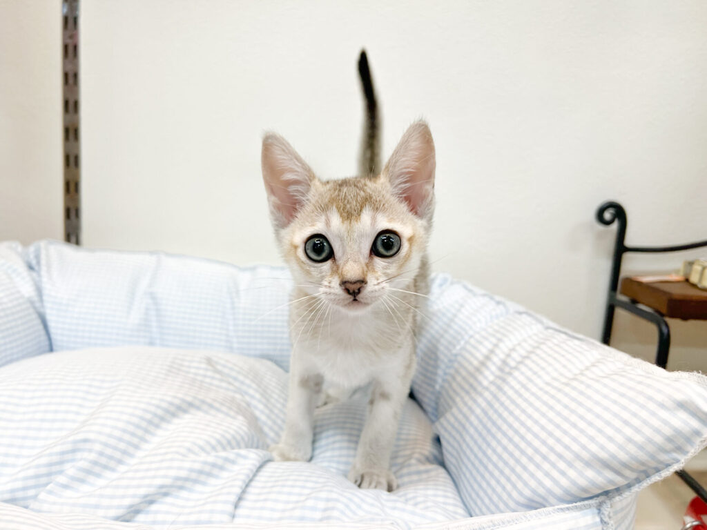 2025年10月25日撮影