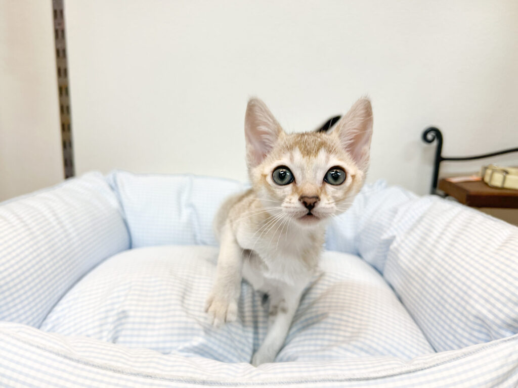 元気いっぱいやんちゃガール❀.*･ﾟ