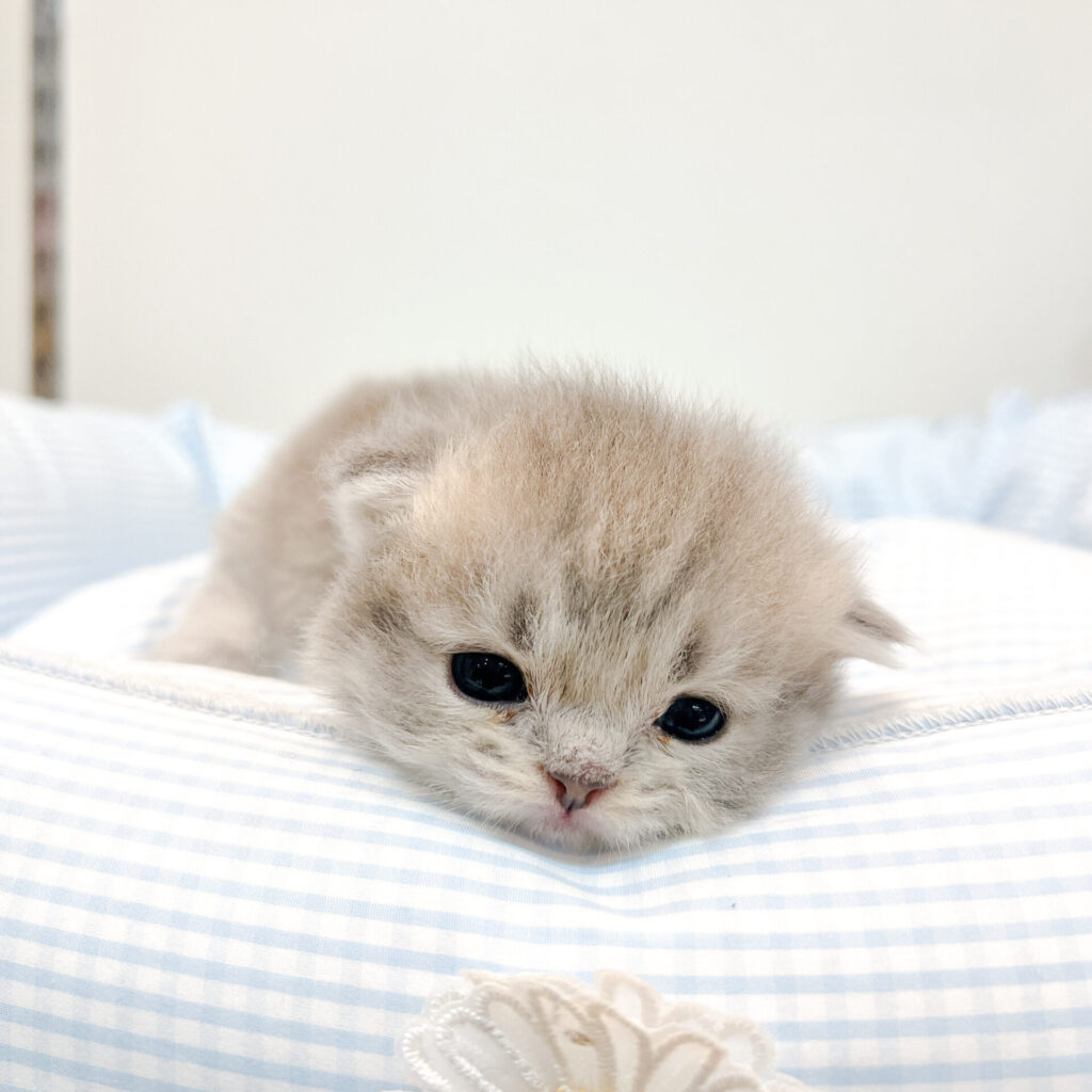 2025年10月27日撮影