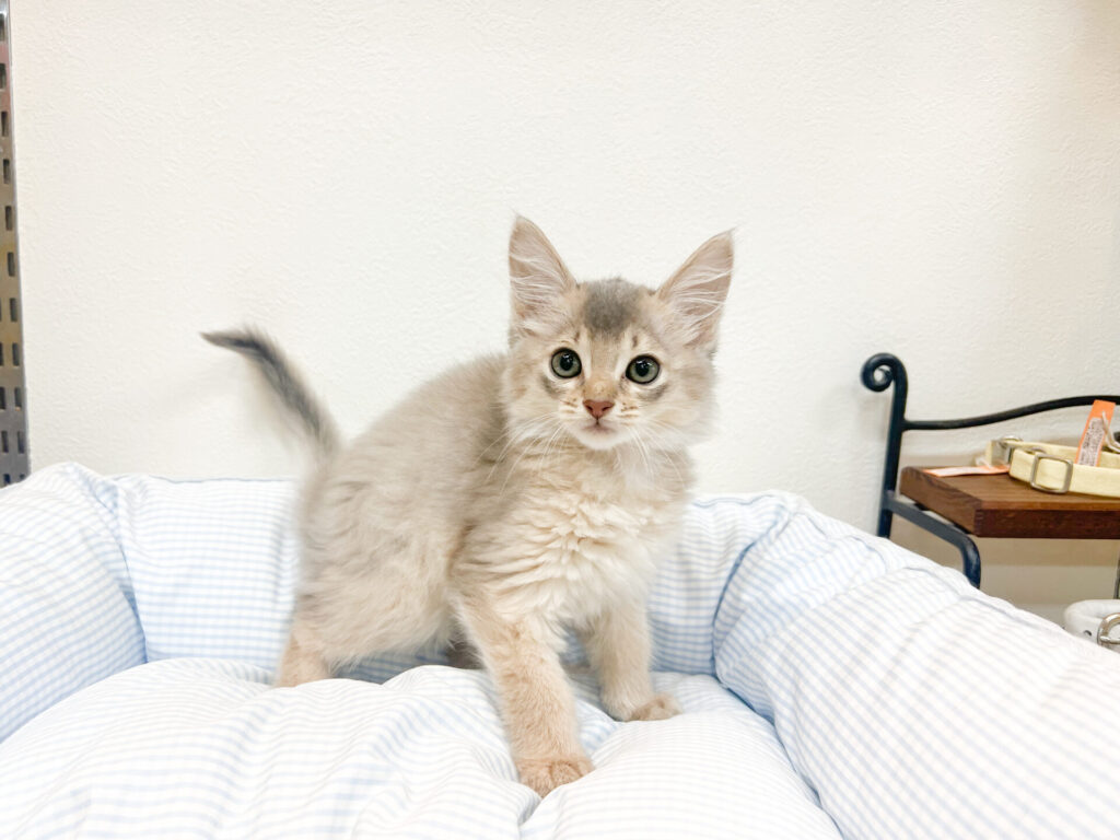 2025年10月31日撮影