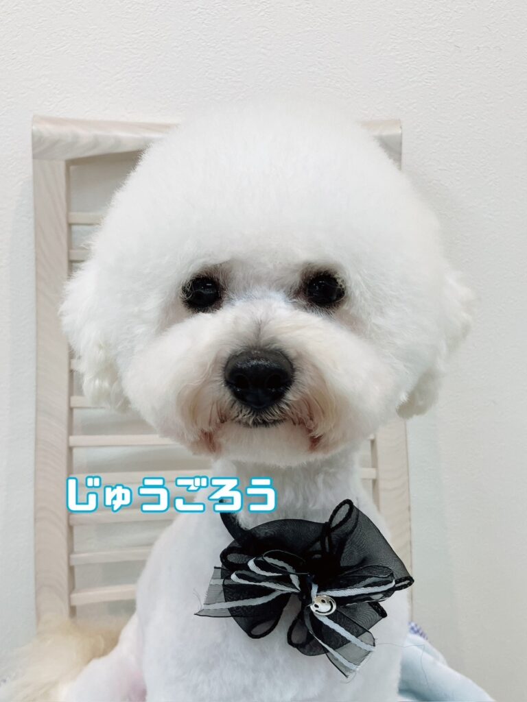 父犬 十五郎