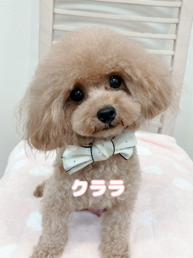 ママ