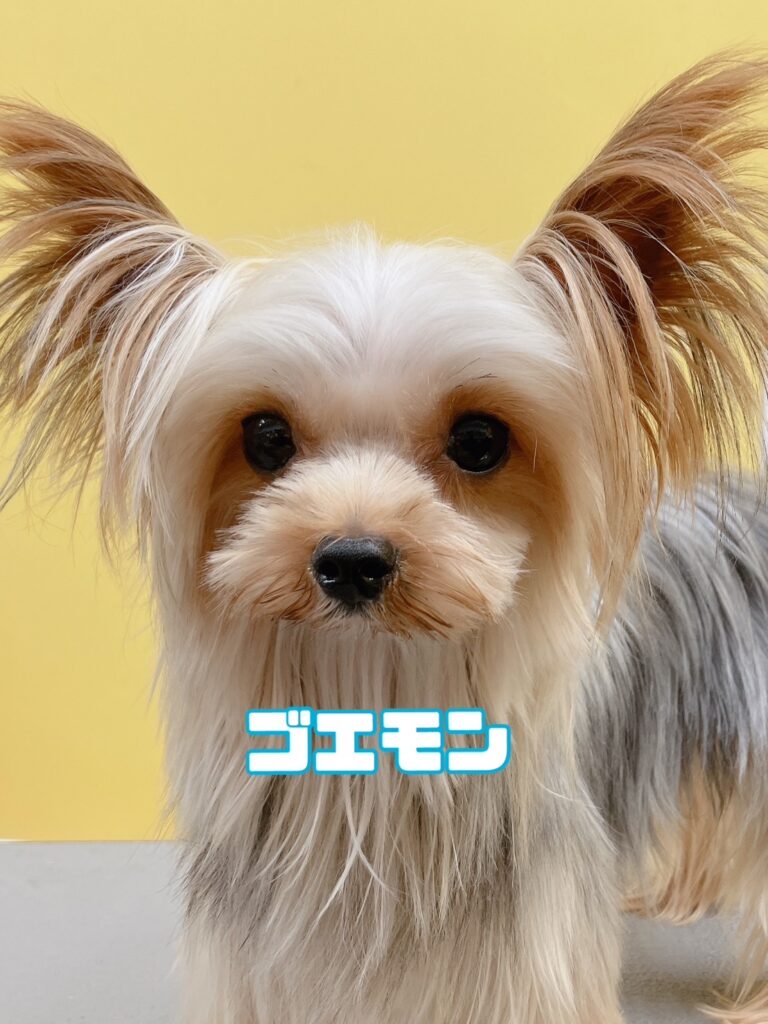 父犬 五エ門