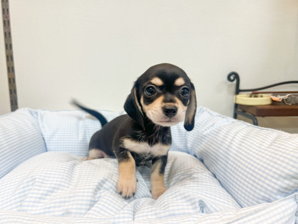 2025年10月31日撮影