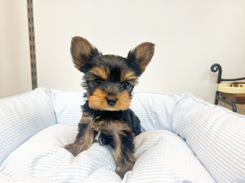 2025年10月31日撮影