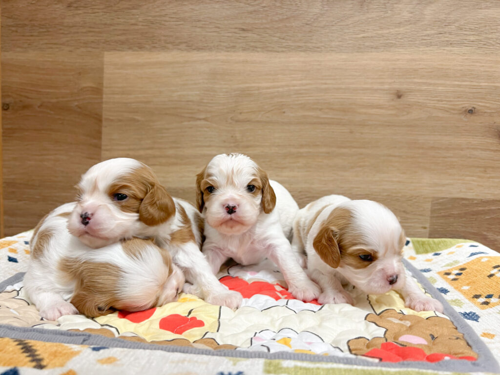 すくすく育ってます♡