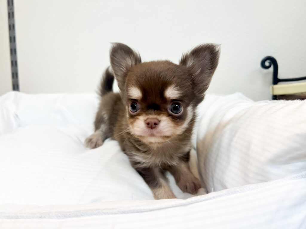 甘えん坊ガール⸜❤︎⸝