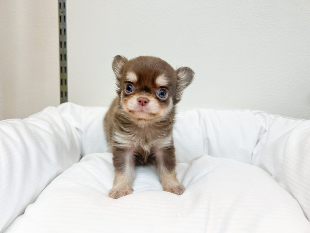 2025年11月5日撮影