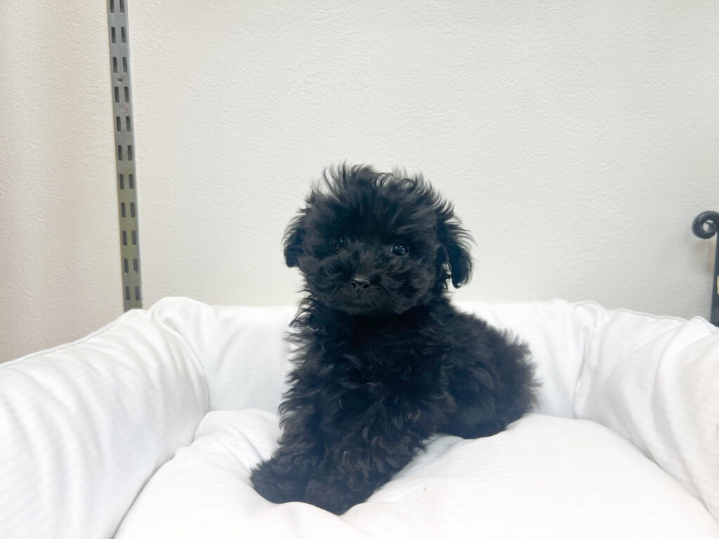 2025年11月5日撮影