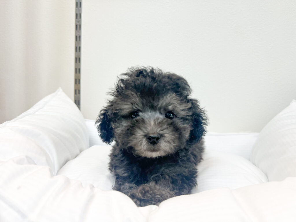 2025年11月5日撮影