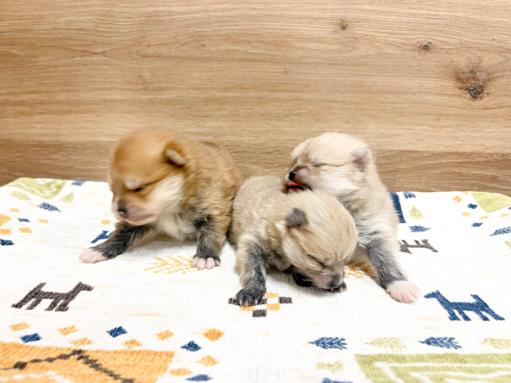 すくすく育ってます♡₊⁺
