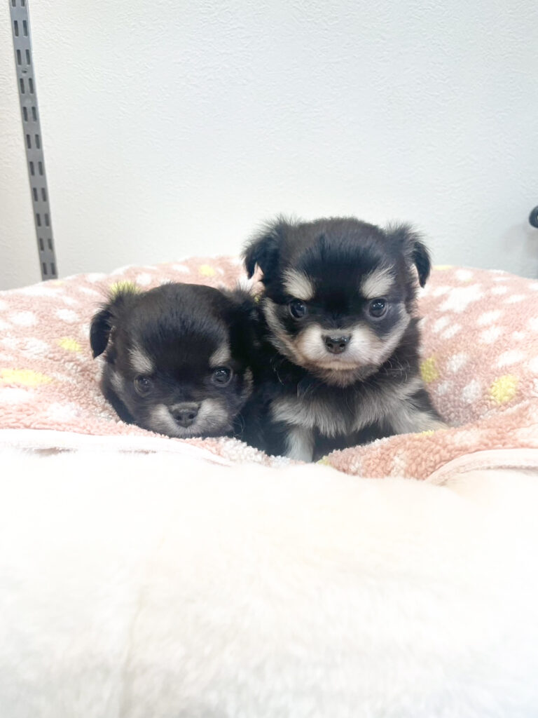 2025年11月6日撮影