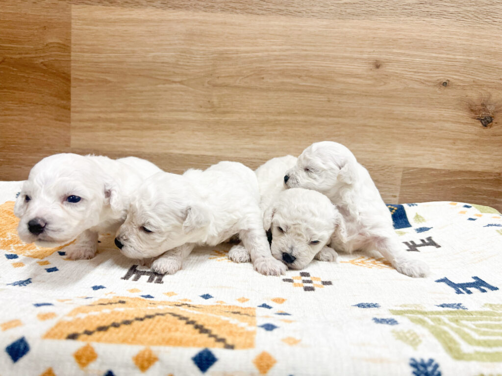 すくすく育ってます♡