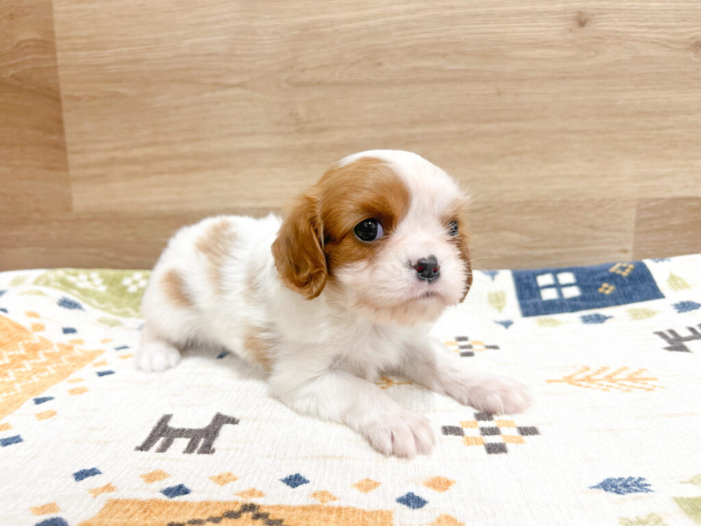 離乳食もよく食べてくれて元気いっぱいです！