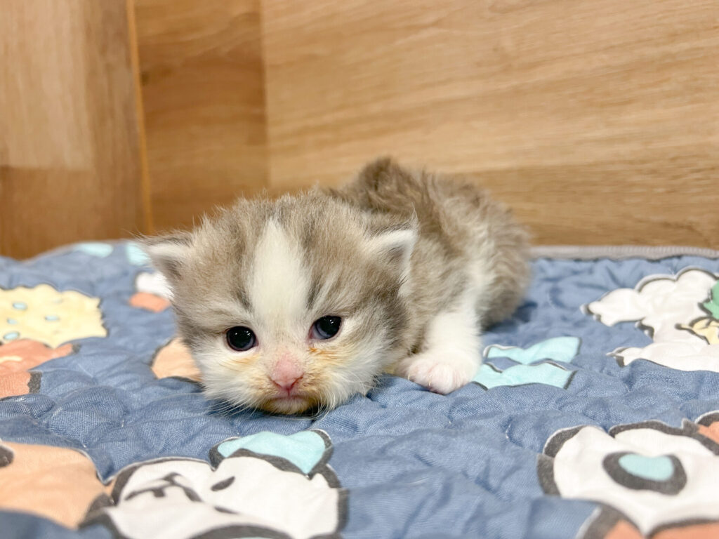 すくすく育ってます♡