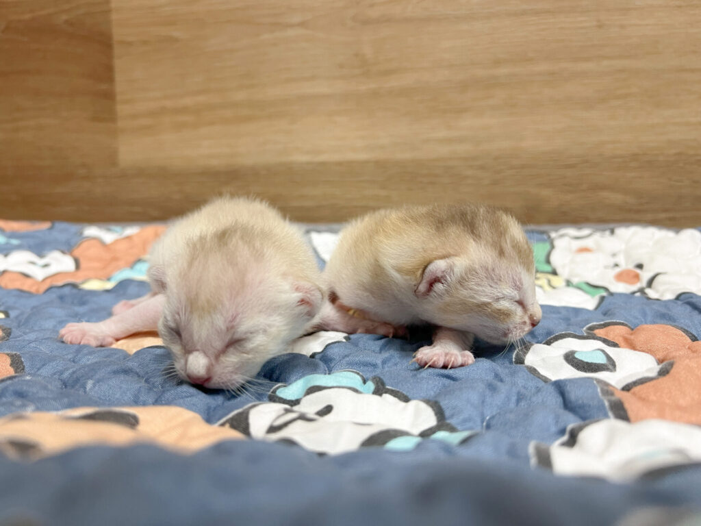 すくすく育ってます♡