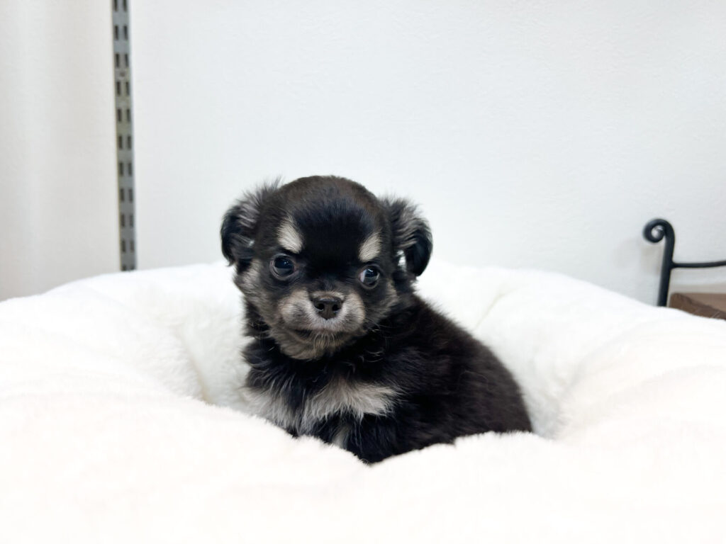 2025年11月21日撮影 男の子★