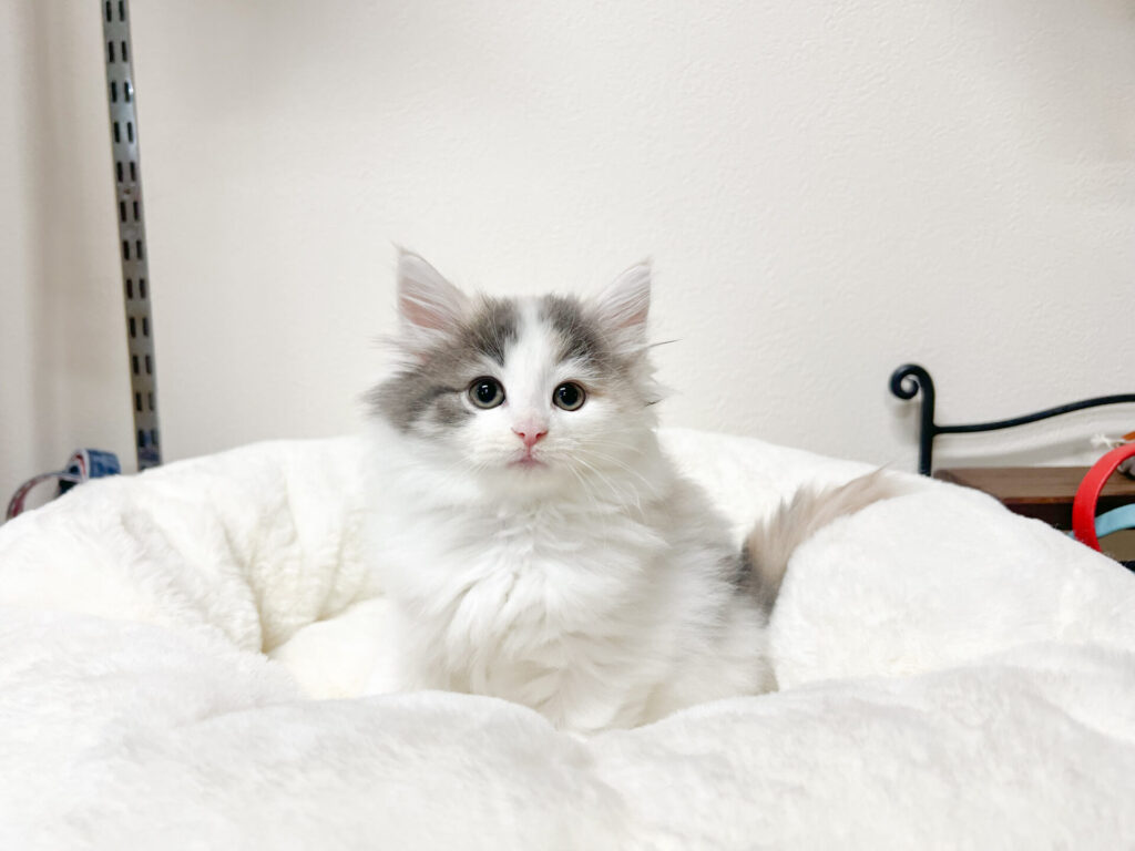 2025年11月28日撮影