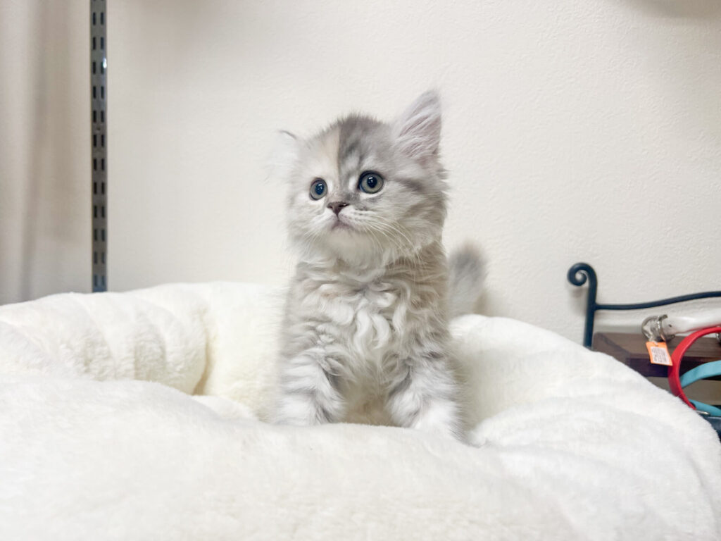 2025年11月28日撮影