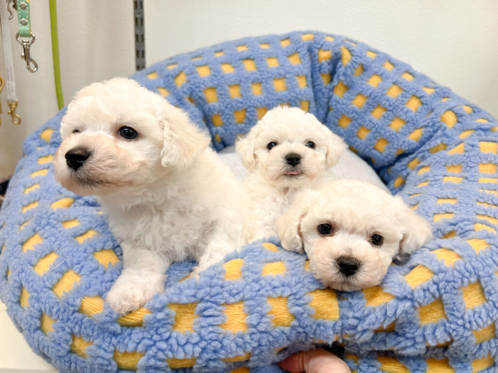 離乳食よく食べてくれて元気いっぱいです♡