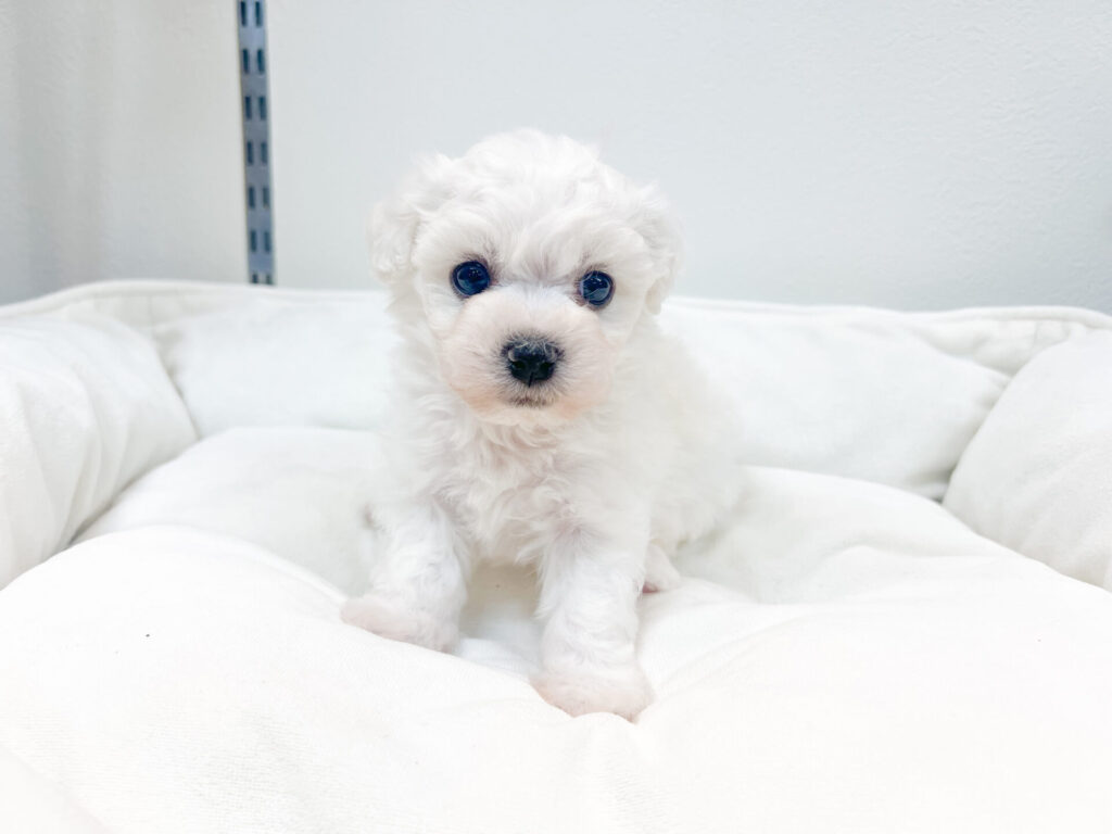 2025年12月1日撮影 男の子✩⡱