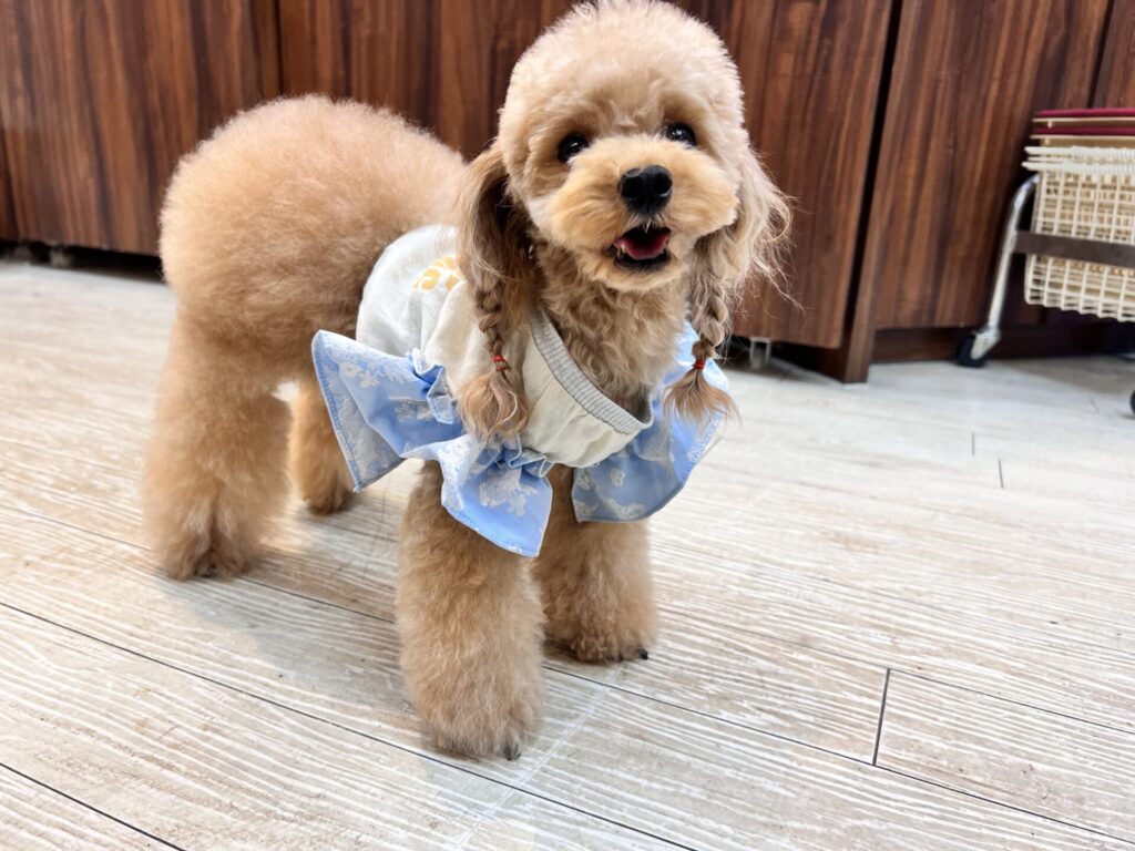 母犬 みね