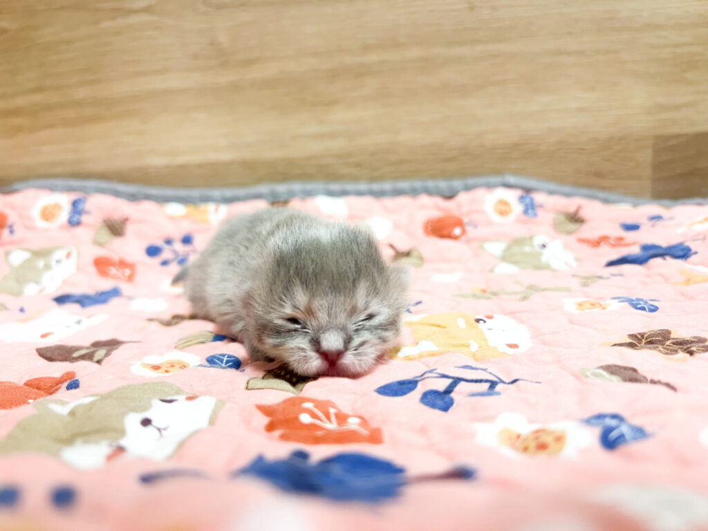 2025年112月3日撮影