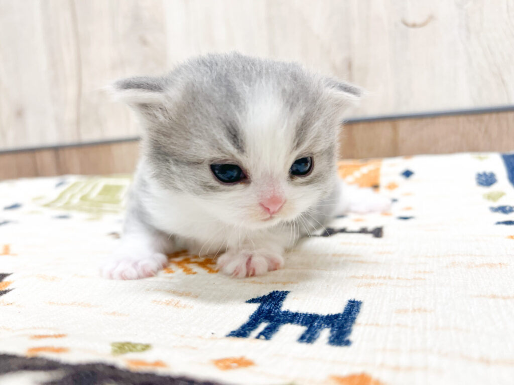 すくすく育ってます♡