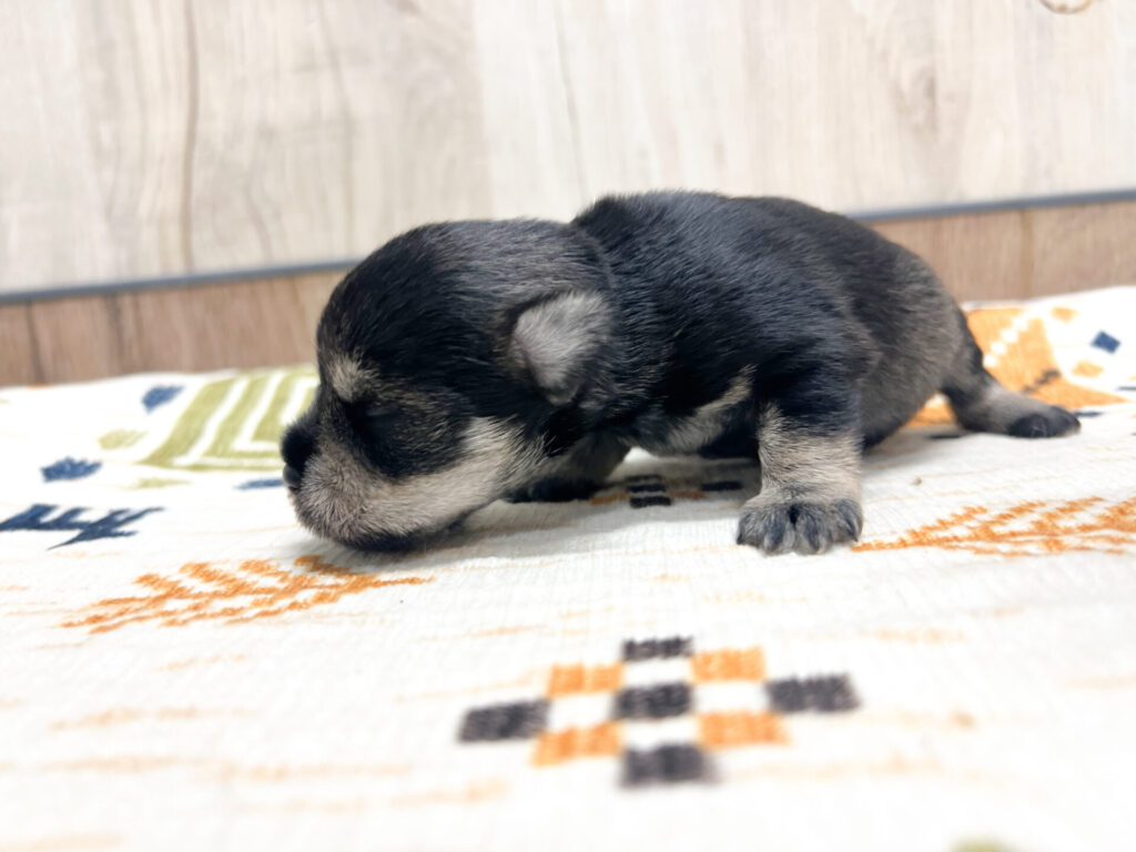 すくすく育ってます♡